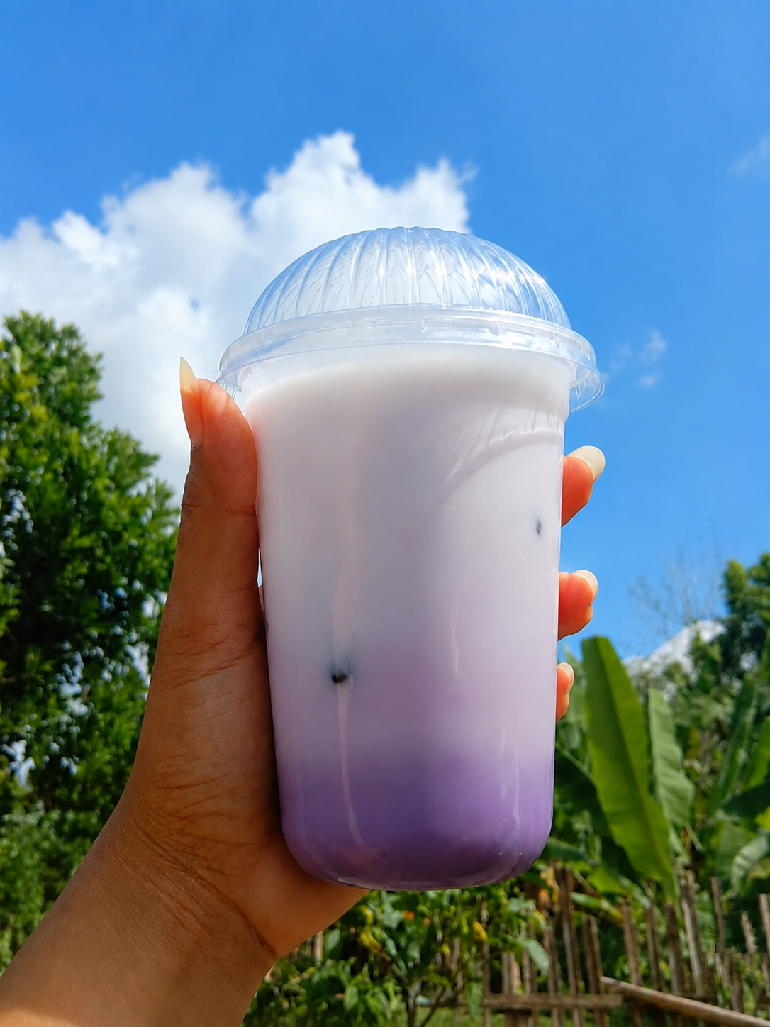 Milky Taro